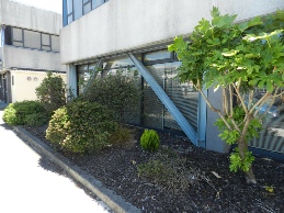 Example Siesmic Strengthening on Lower Hutt Police Station