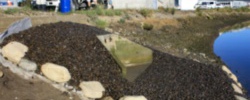 Solve erosion problems Solve erosion problems